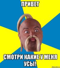 привет смотри какие у меня усы!