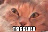  triggered