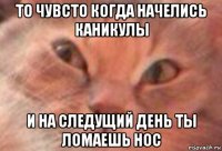 то чувсто когда начелись каникулы и на следущий день ты ломаешь нос