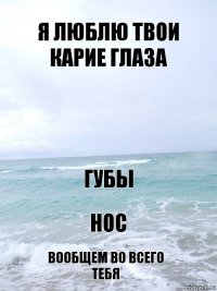 я люблю твои карие глаза губы нос вообщем во всего тебя