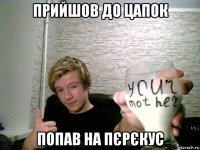 прийшов до цапок попав на пєрєкус