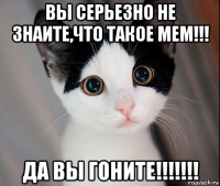 вы серьезно не знаите,что такое мем!!! да вы гоните!!!!!!!