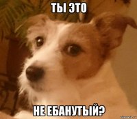 ты это не ебанутый?