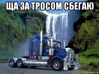 ща за тросом сбегаю 