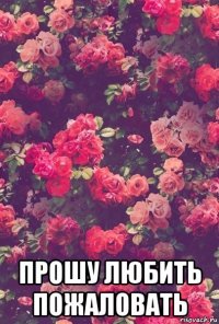  прошу любить пожаловать