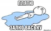 плятю залко ваську