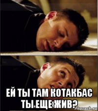  ей ты там котакбас ты еще жив?