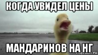 когда увидел цены мандаринов на нг