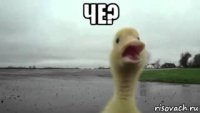 че? 