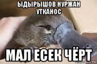ыдырышов нуржан утканос мал есек чёрт