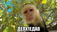  делх1едав