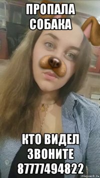 пропала собака кто видел звоните 87777494822