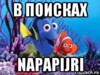 в поисках napapijri