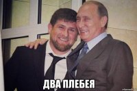  два плебея