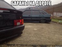 бараны на дороге 