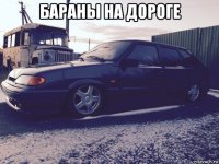бараны на дороге 