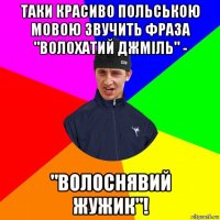 таки красиво польською мовою звучить фраза "волохатий джміль" - "волоснявий жужик"!