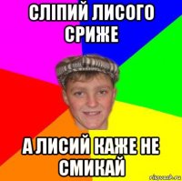 сліпий лисого сриже а лисий каже не смикай