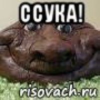 ссука! 