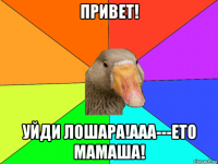 привет! уйди лошара!ааа---ето мамаша!