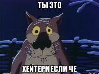 ты это хейтери если че