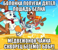 болонка попугай дятел лошадь белка медвежонок чайка скворец бегемот бобр!