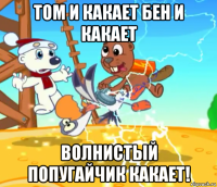 том и какает бен и какает волнистый попугайчик какает!