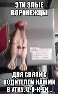 эти злые воронежцы для связи с водителем нажми в утку. о-о-к-ей...