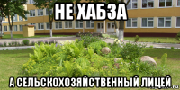 не хабза а сельскохозяйственный лицей