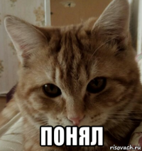  понял