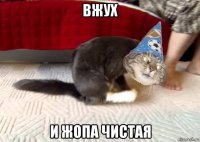 вжух и жопа чистая