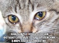  каждый раз, когда девочки фоткаются в туалете трк "европейский" в мире плачет один котик...