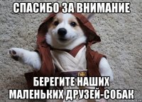спасибо за внимание берегите наших маленьких друзей-собак