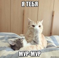 я тебя мур-мур