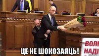  це не шокозаяць!