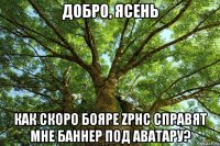 добро, ясень как скоро бояре zphc справят мне баннер под аватару?