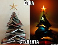 ёлка студента