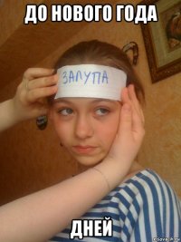до нового года дней