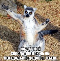  собдат мой хвосдатый,плюнь на невздоды!!!здодовья тебе!!!