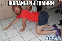 жалайыры гомики 