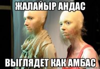 жалайыр андас выглядет как амбас