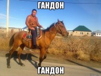 гандон гандон