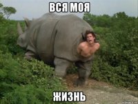 вся моя жизнь