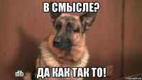 в смысле? да как так то!