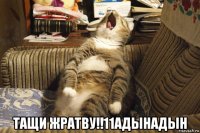  тащи жратву!!11адынадын