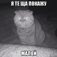 я те ща покажу малой