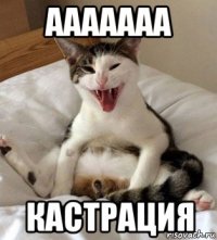 ааааааа кастрация