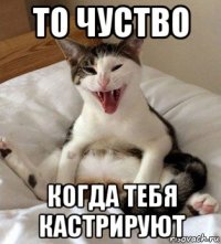 то чуство когда тебя кастрируют