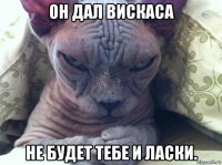 он дал вискаса не будет тебе и ласки.
