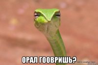  орал гоовришь?